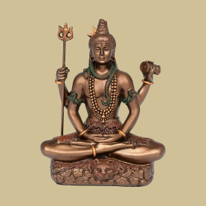 Cras viverra rhoncus metu