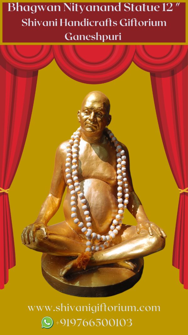 Bhagwan Nityanand Statue 12