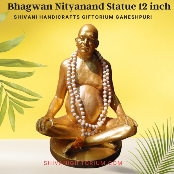 Bhagwan Nityanand Statue 12 - Image 2