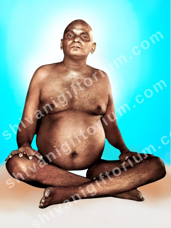 Bhagwan Nityanand Color Photo Copy