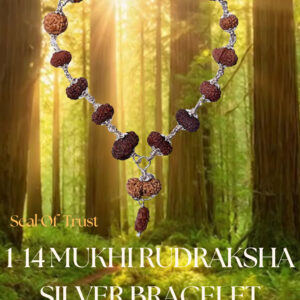 1 -14 Mukhi Rudraksha Silver Bracelet
