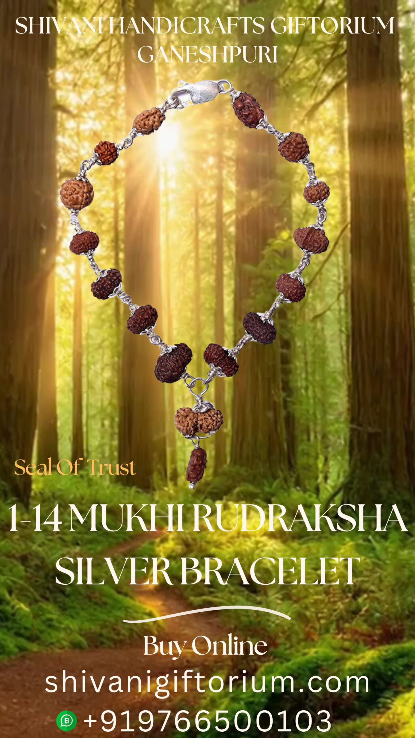 1 -14 Mukhi Rudraksha Silver Bracelet
